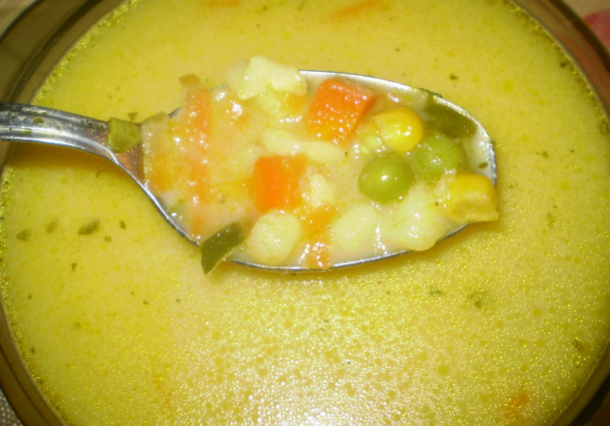 Kolorowa zupka foto