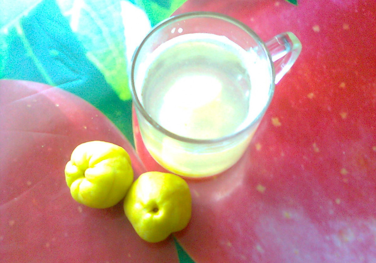 Kompot jabłkowo-pigwowy z cynamonem foto