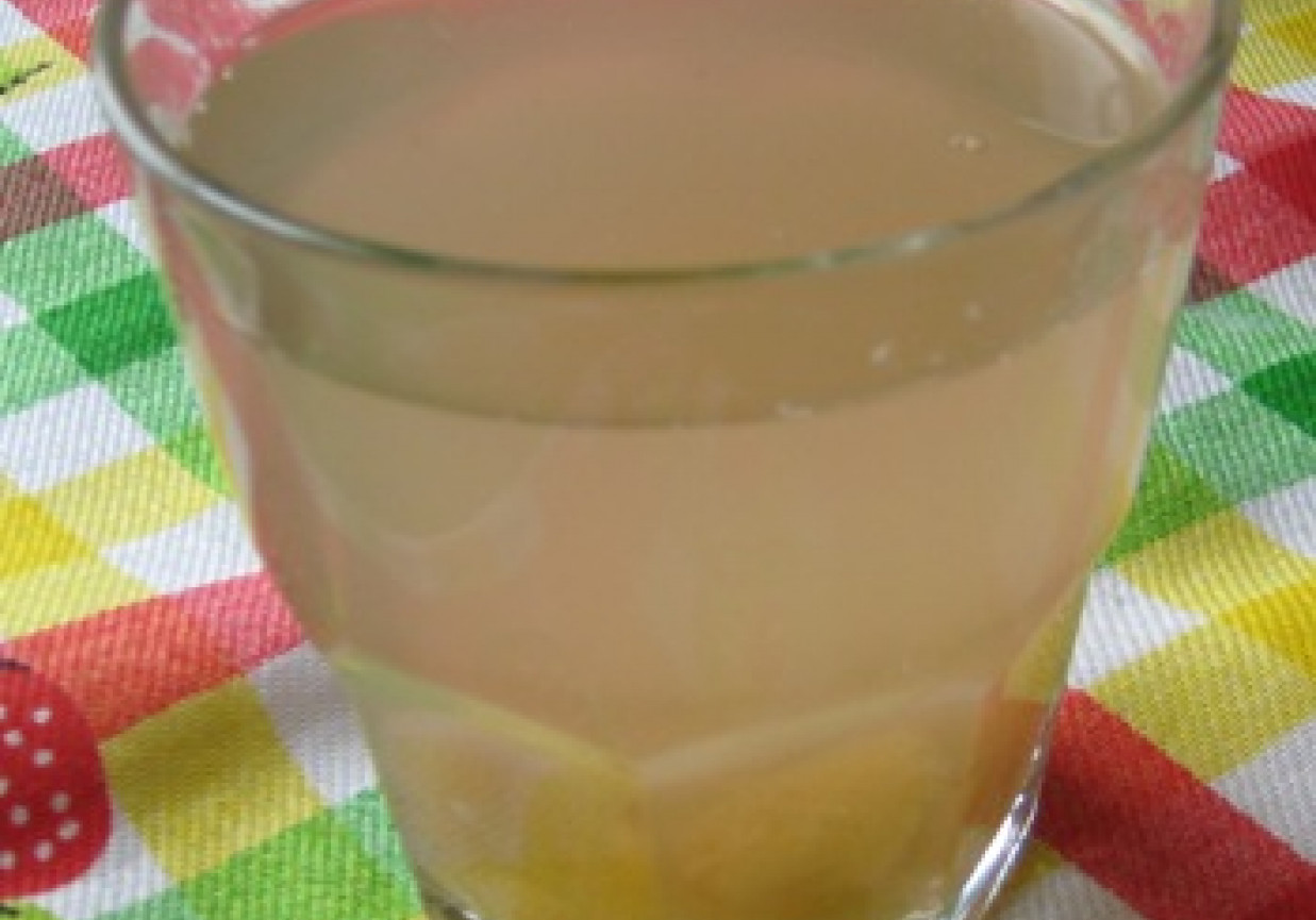 Kompot jabłkowo-rabarbarowy z cynamonem foto