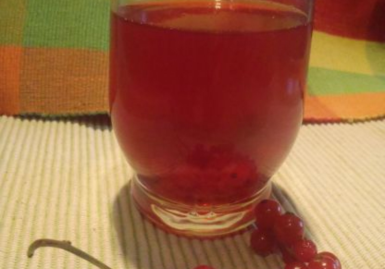 Kompot porzeczkowy foto