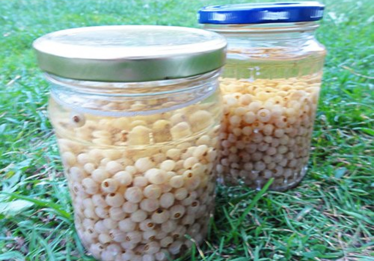 Kompot z białej porzeczki foto