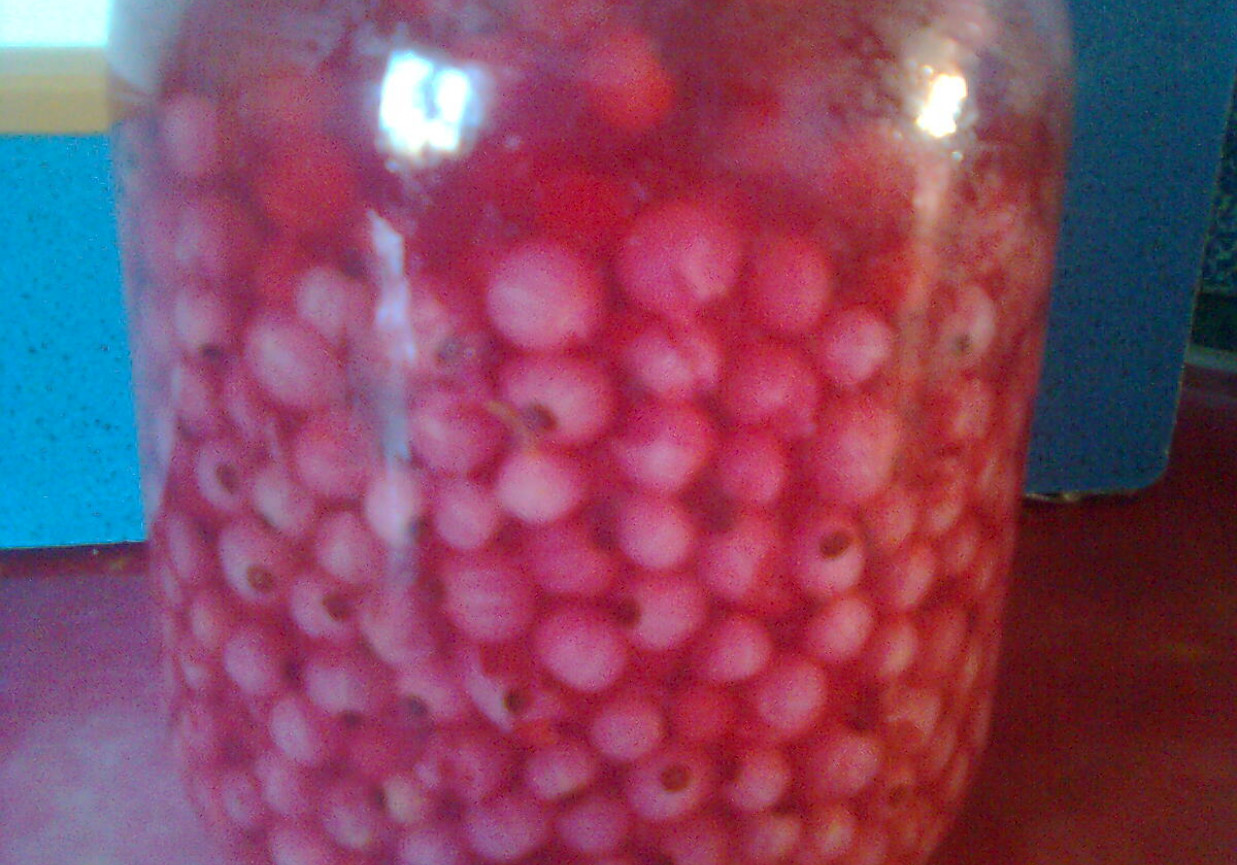 Kompot z czerwonej porzeczki DoradcaSmaku.pl