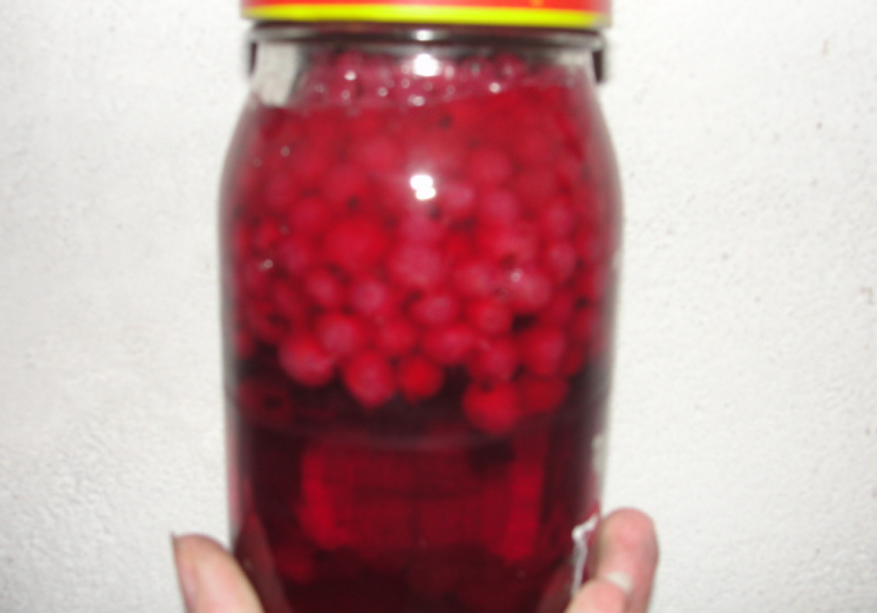 Kompot z czerwonej porzeczki DoradcaSmaku.pl