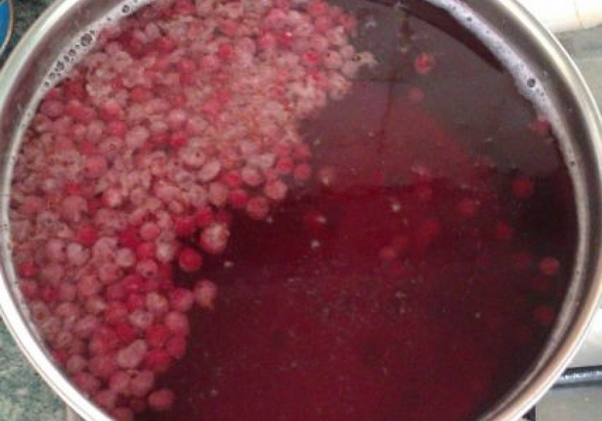 kompot z czerwonej porzeczki DoradcaSmaku.pl