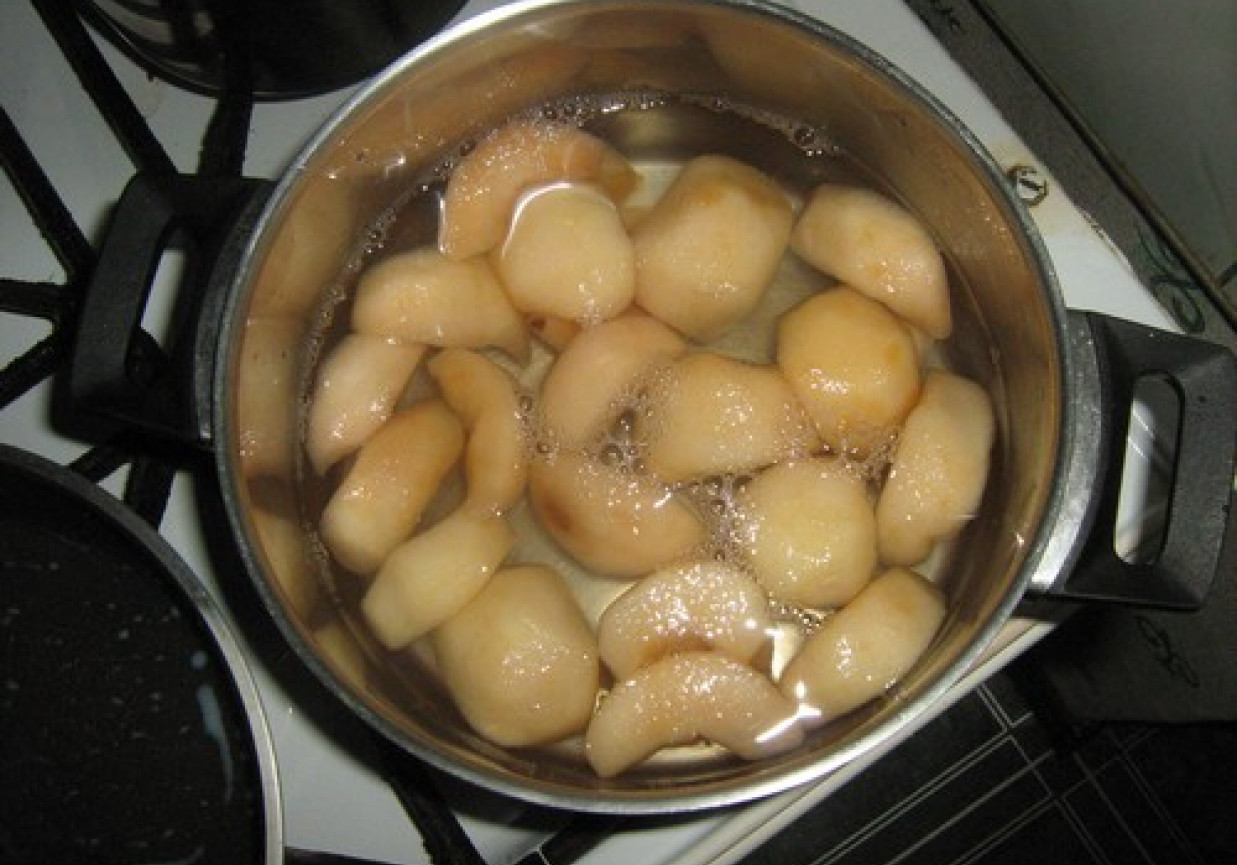 Kompot z jabłek antonówek foto