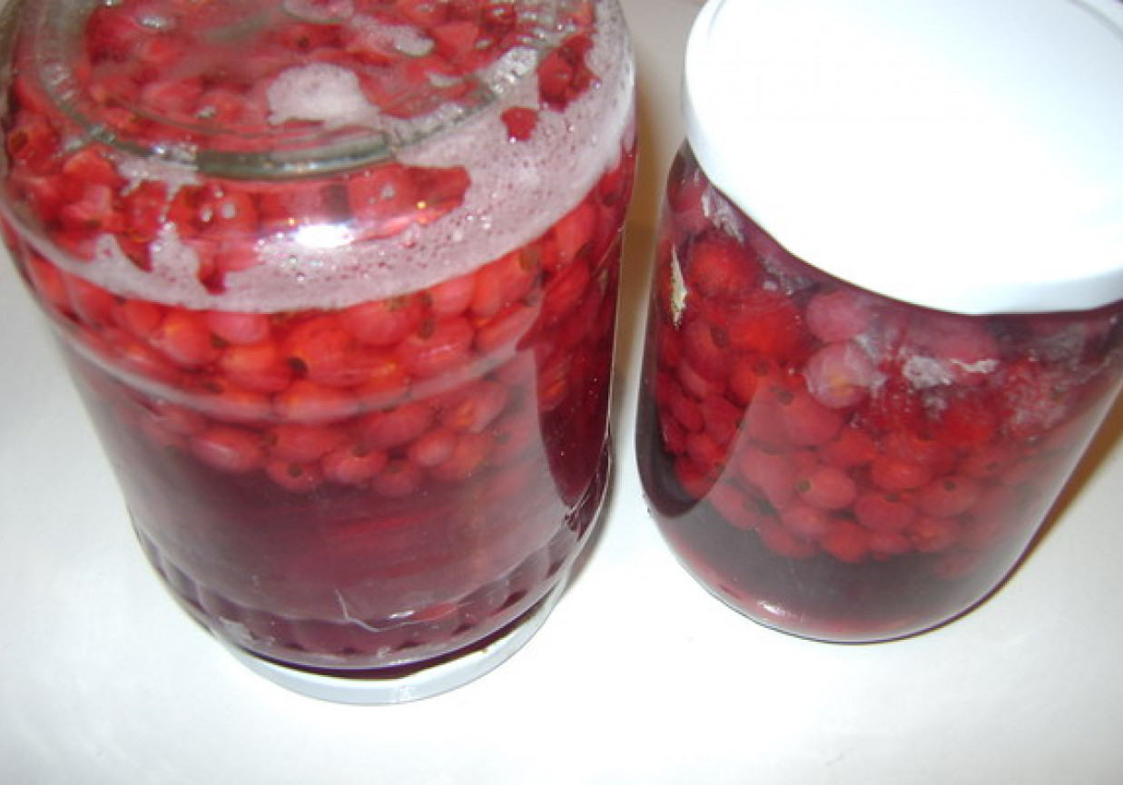 Kompot z porzeczek. foto