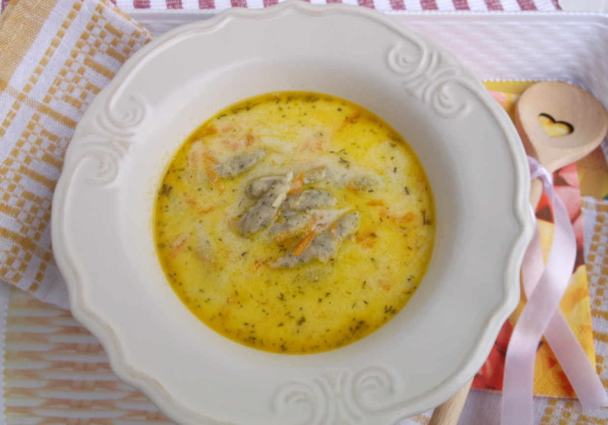 Koperkowa zupa z kluseczkami. foto