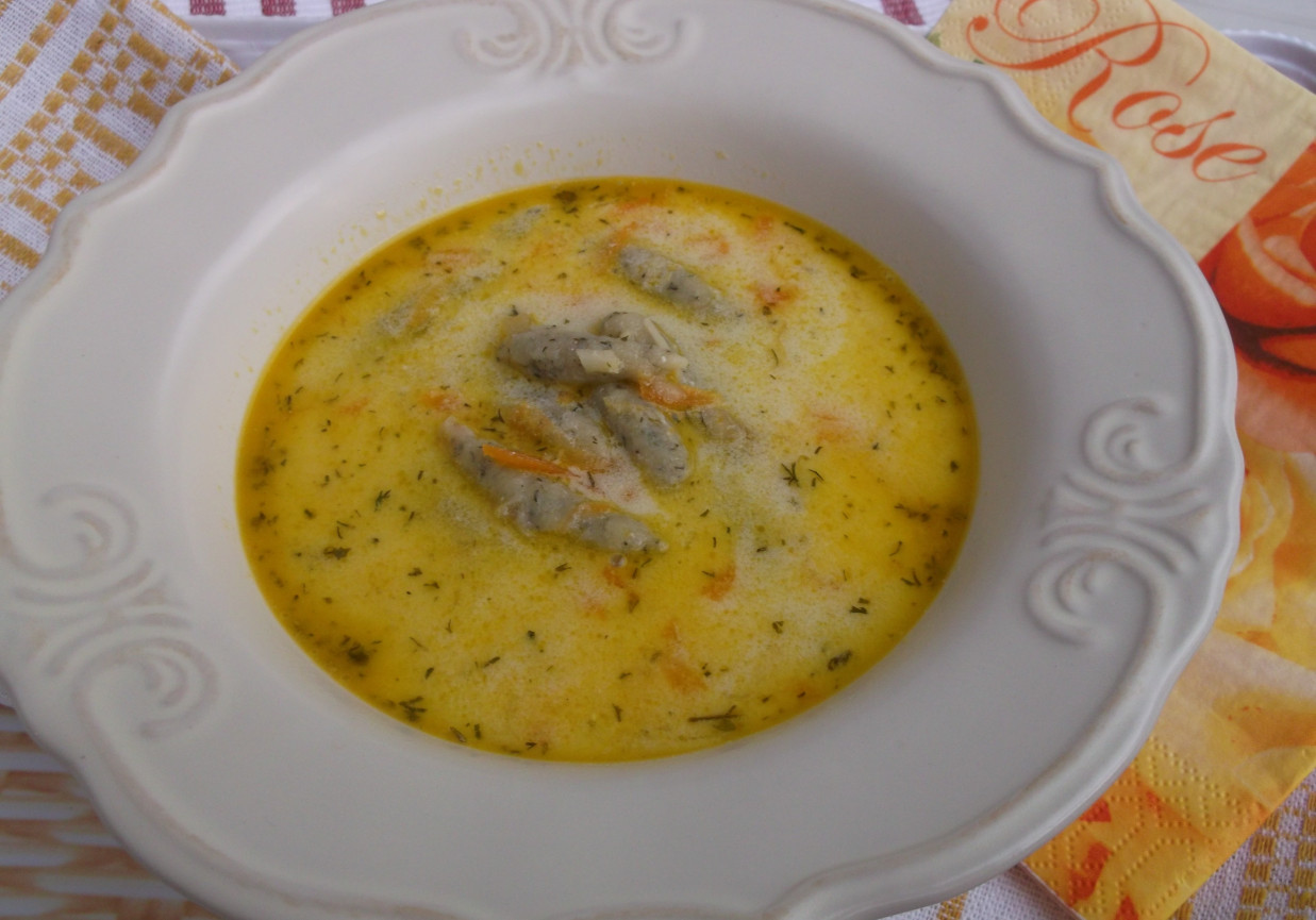Koperkowa zupa z kluseczkami. foto