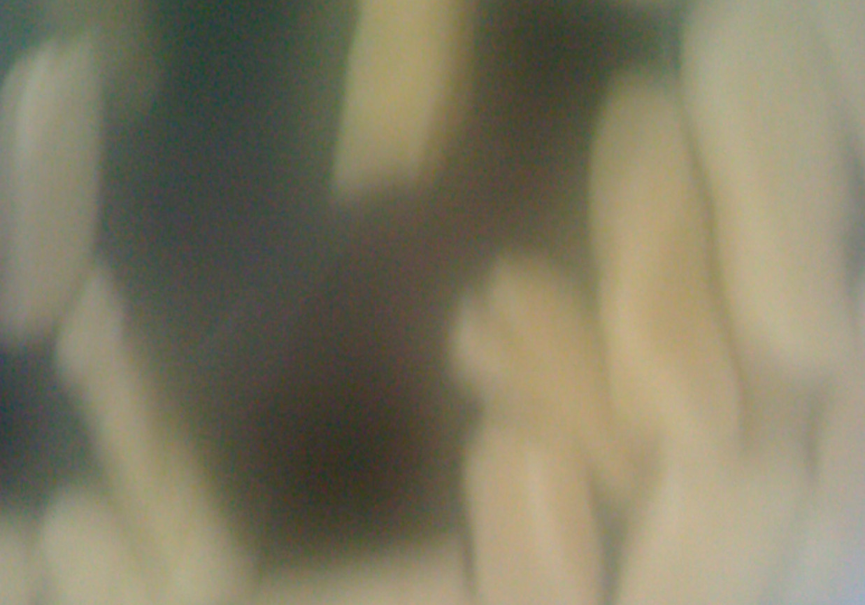 Kopytka z Białym Serem Gosi foto