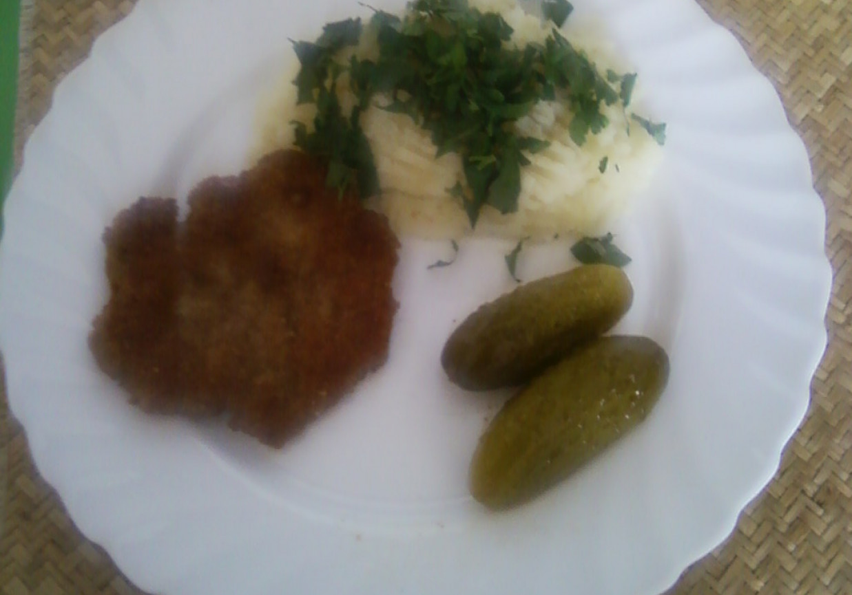 Kotlety drobiowe ala stek foto