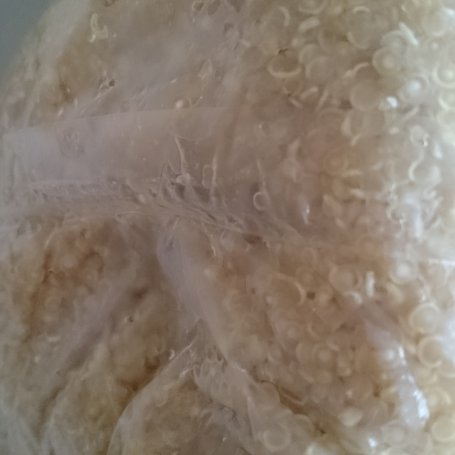 Krok 1 - Kotlety mielone z quinoą/komosą ryżową foto