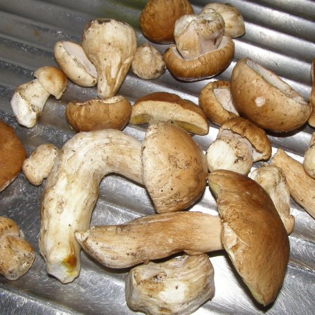 Krok 1 - kotlety schabowe z prawdziwkami... foto