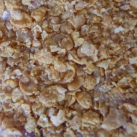 Krok 3 - Kotlety schabowe zapiekane z kapustą i mozzarellą foto