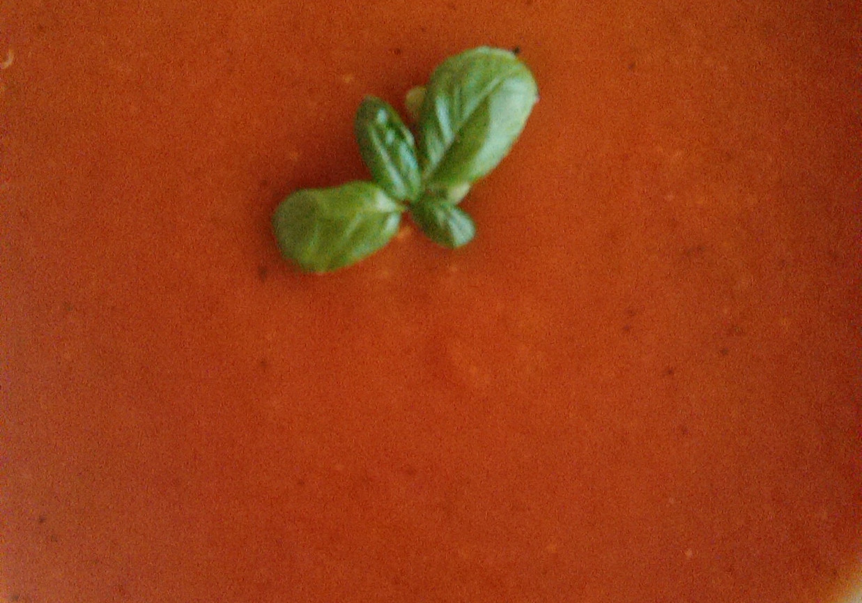 krem pomidorowy foto