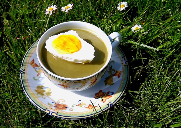 Fotografia przedstawiająca Krem ze szczawiu z jajkiem