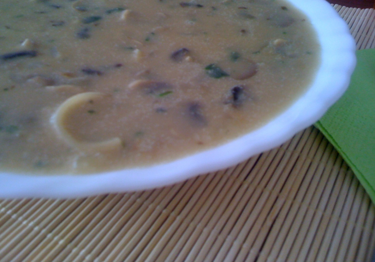 Kremowa zupa pieczarkowa z makaronem i kawałkami pieczarek foto