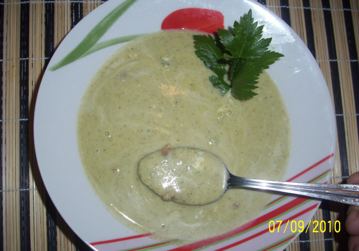 Kremowa zupa selerowa foto
