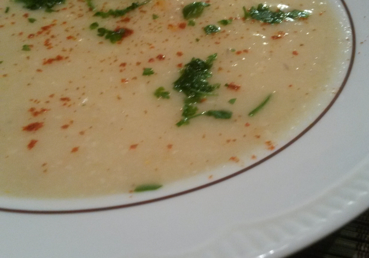 Kremowa zupa z białej fasoli foto