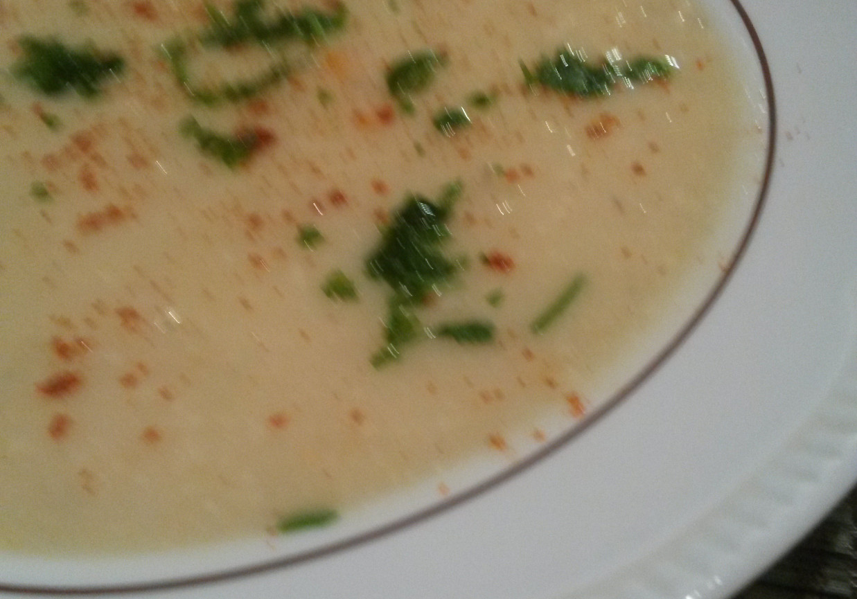 Kremowa zupa z białej fasoli foto