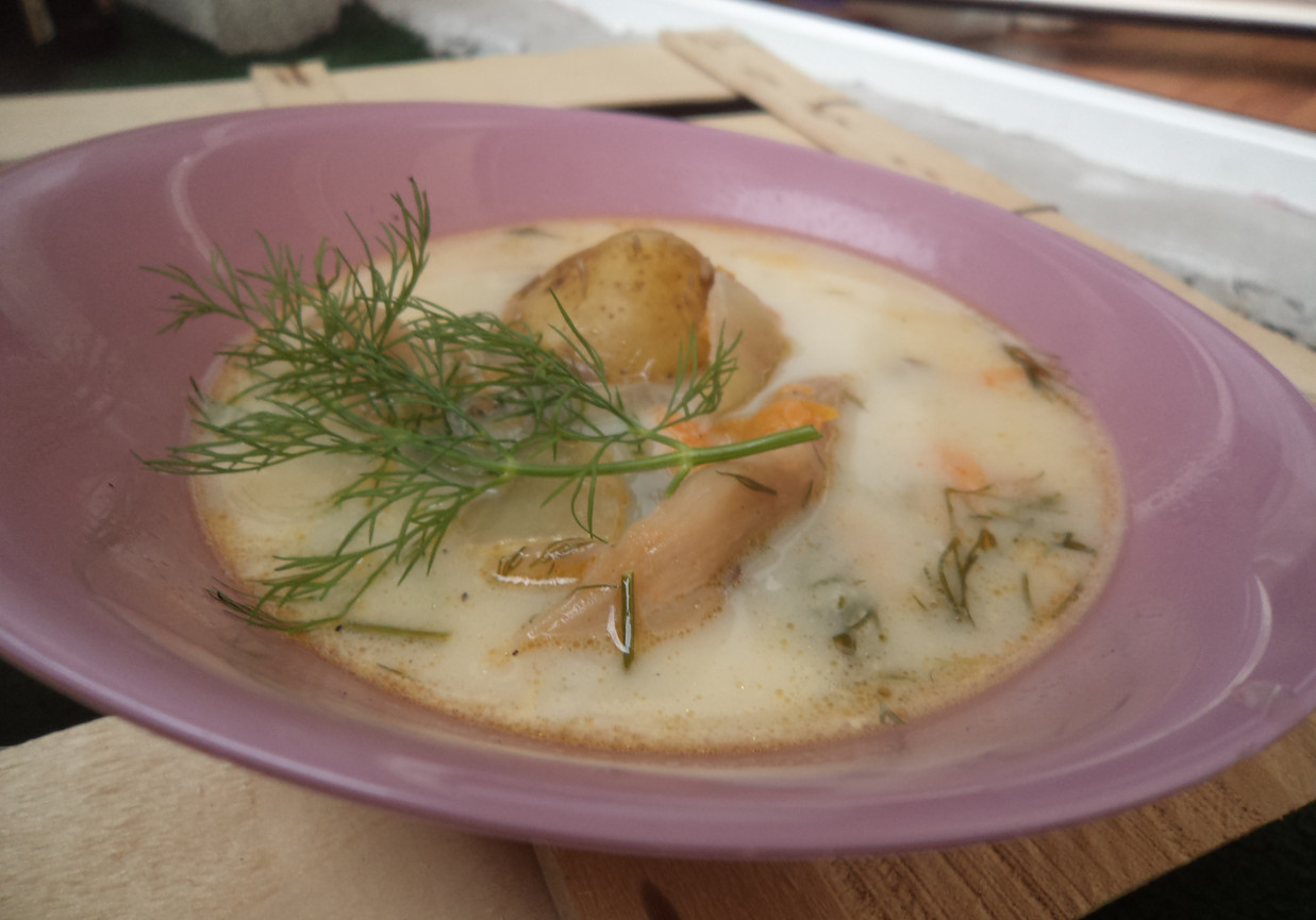 Kremowa zupa z boczniakami i młodymi ziemniakami :) foto