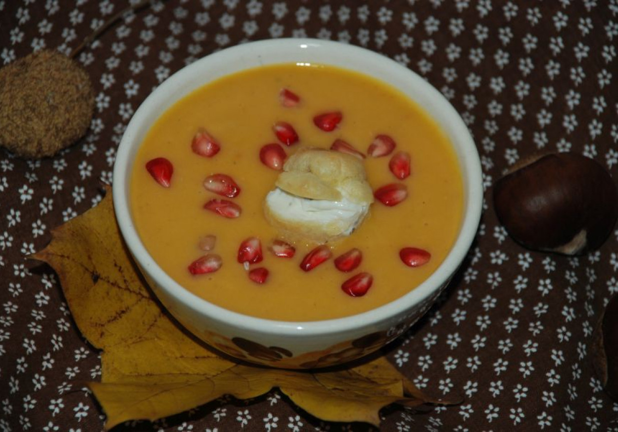 Kremowa zupa z dyni z granatem foto