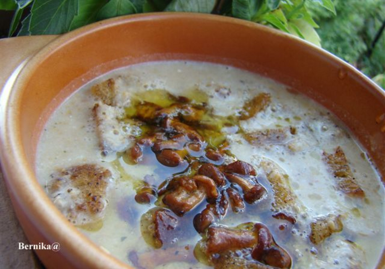 Kremowa zupa z kurek foto