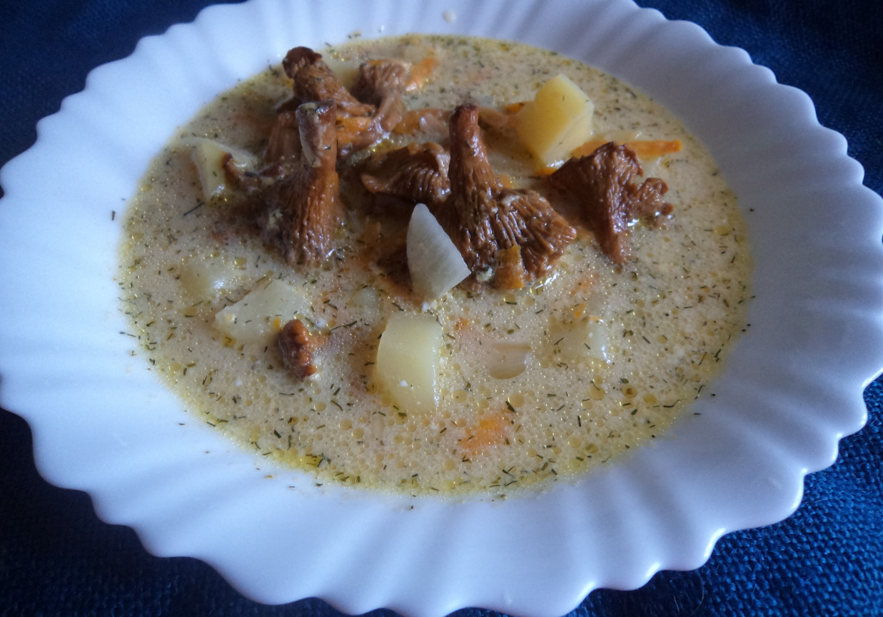 Kremowa zupa z kurkami i koperkiem suszonym  :) foto