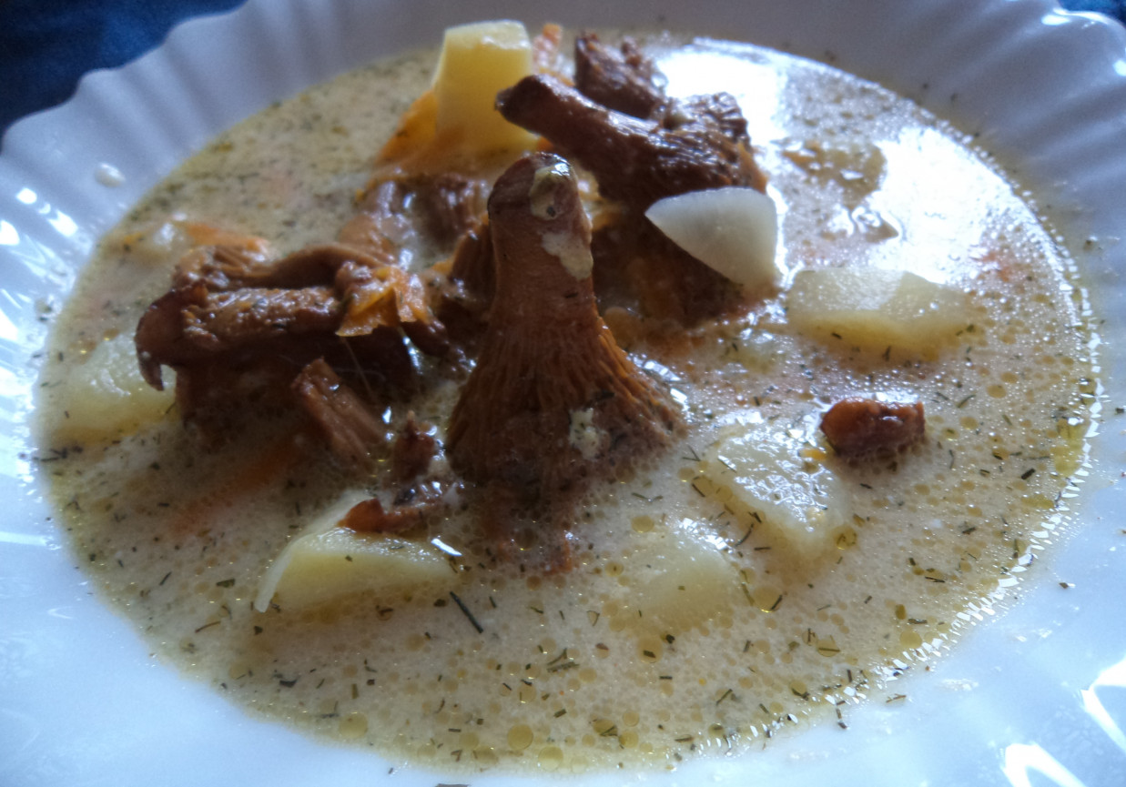 Kremowa zupa z kurkami i koperkiem suszonym  :) foto