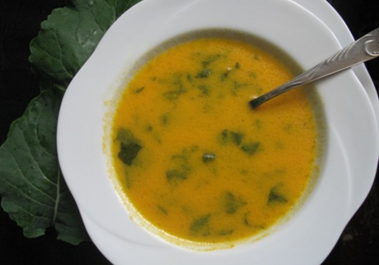 Kremowa zupa z marchewki z kapustą liściastą. foto
