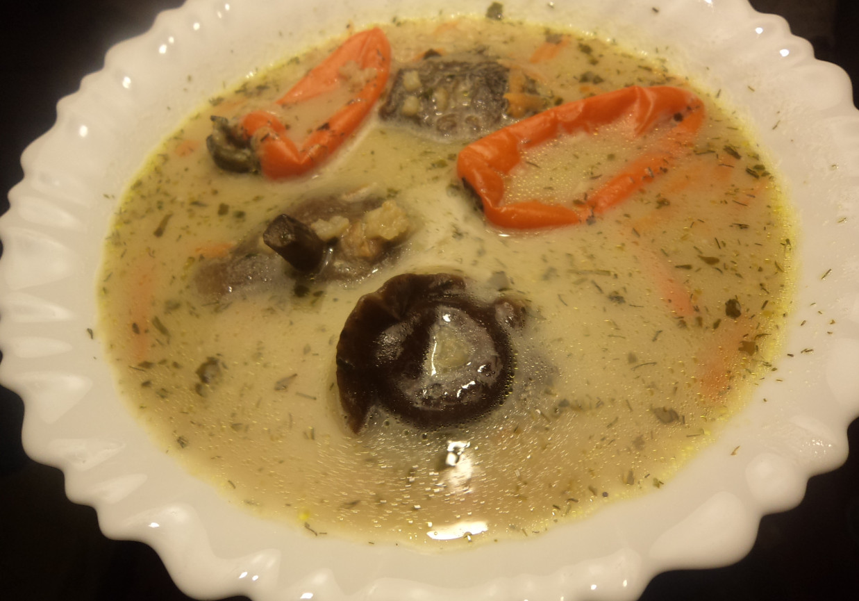 Kremowa zupa z podgrzybkami - z nutą czosnku niedzwiedziego :) foto