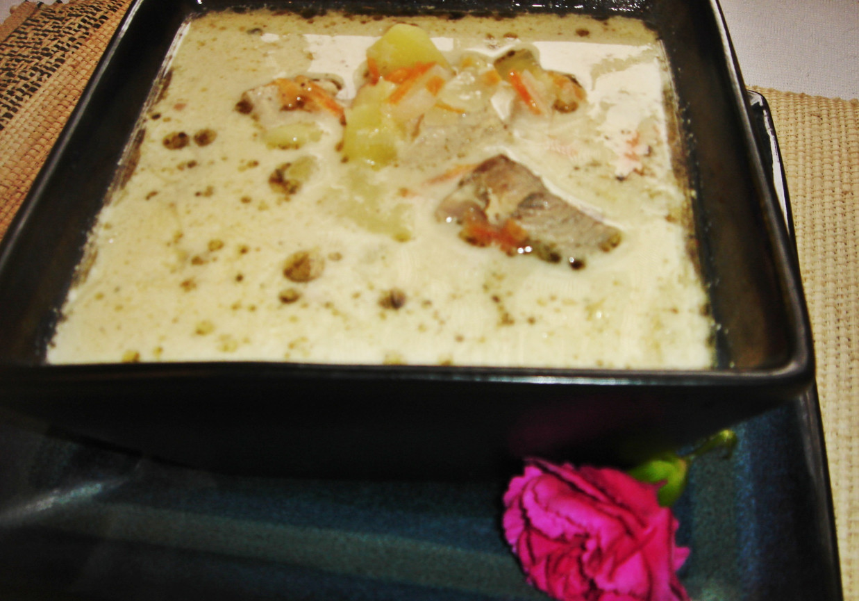 Kremowa zupa ziemniaczana z mięsem i smażoną cebulką foto