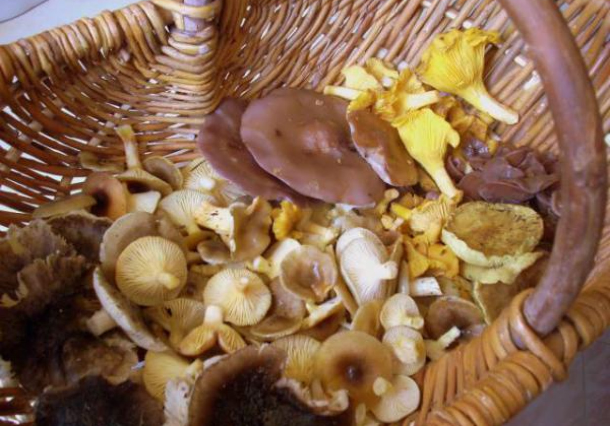 Krokiety grzybowo-ryżowe foto