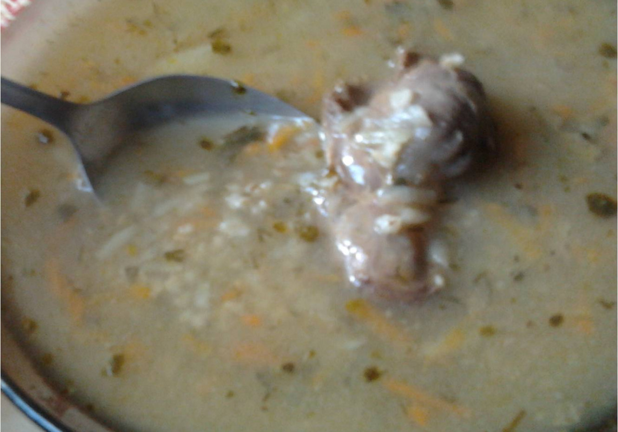 krupnik na kości foto