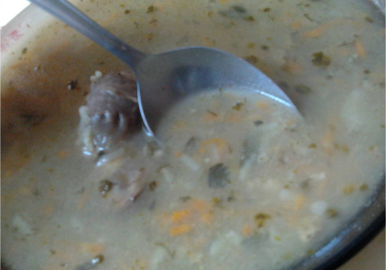 krupnik na kości foto