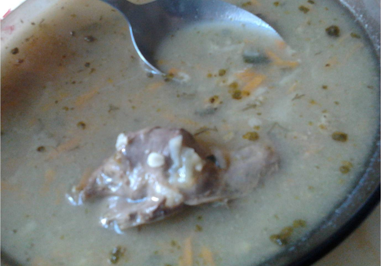 krupnik na kości foto