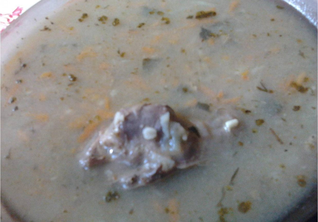 krupnik na kości foto