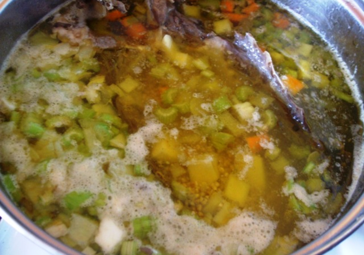 Krupnik na piersiach z kaczki foto