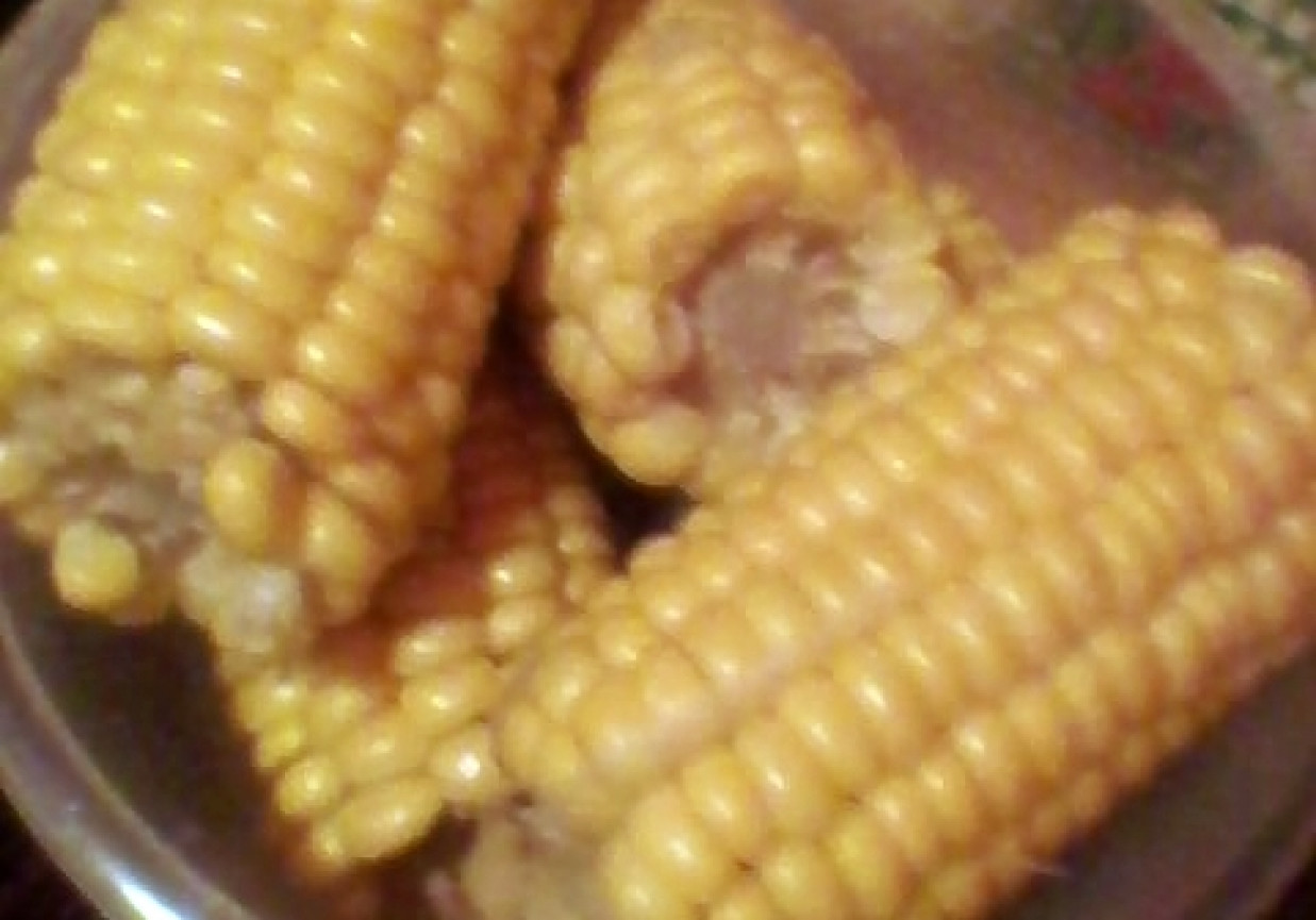 kukurydza gotowana na słodko foto