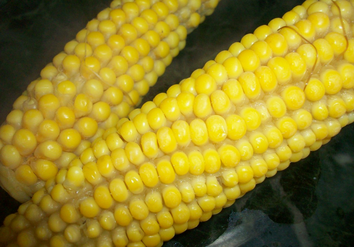 kukurydza gotowana z masełkiem foto