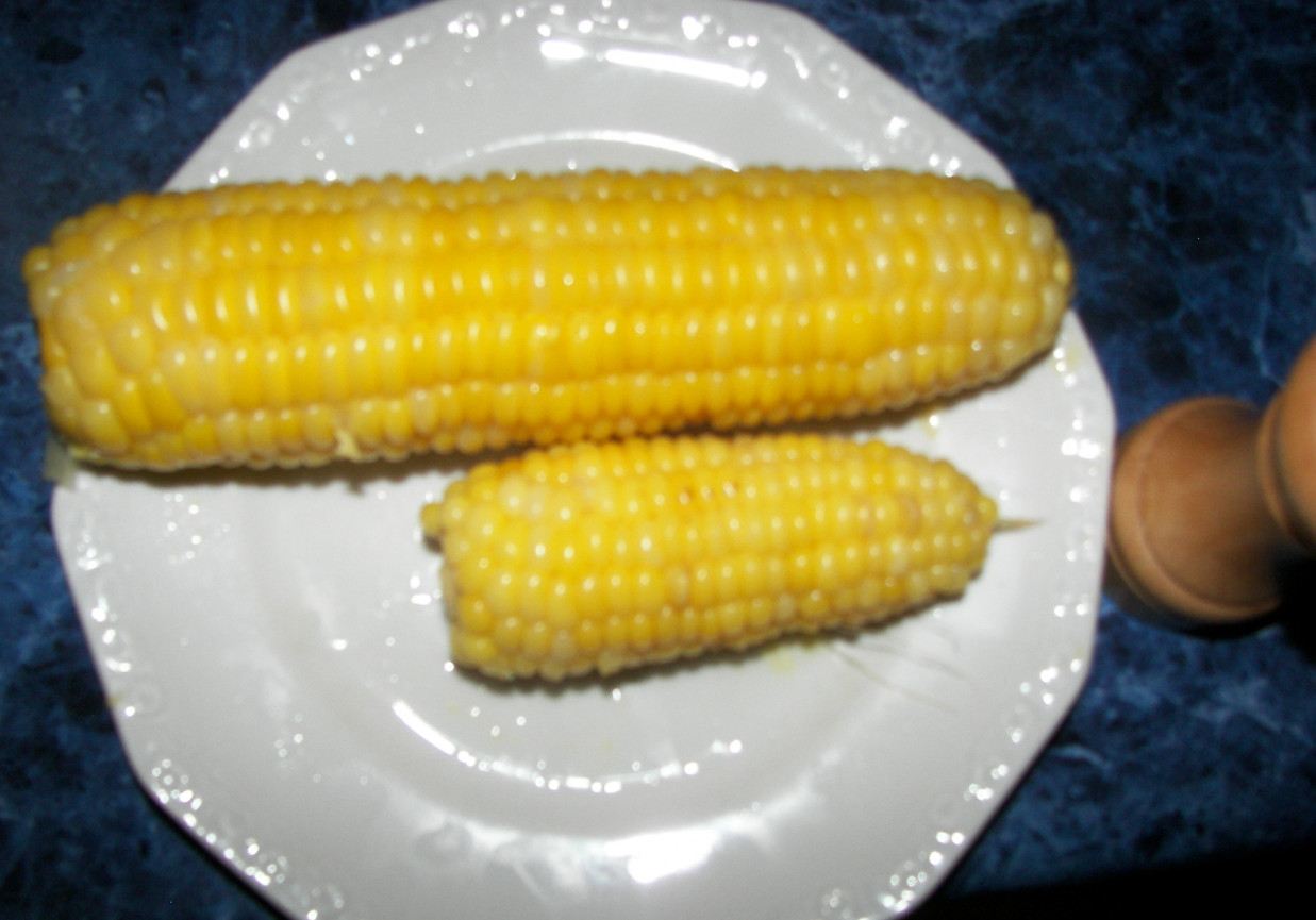 Kukurydza gotowana foto