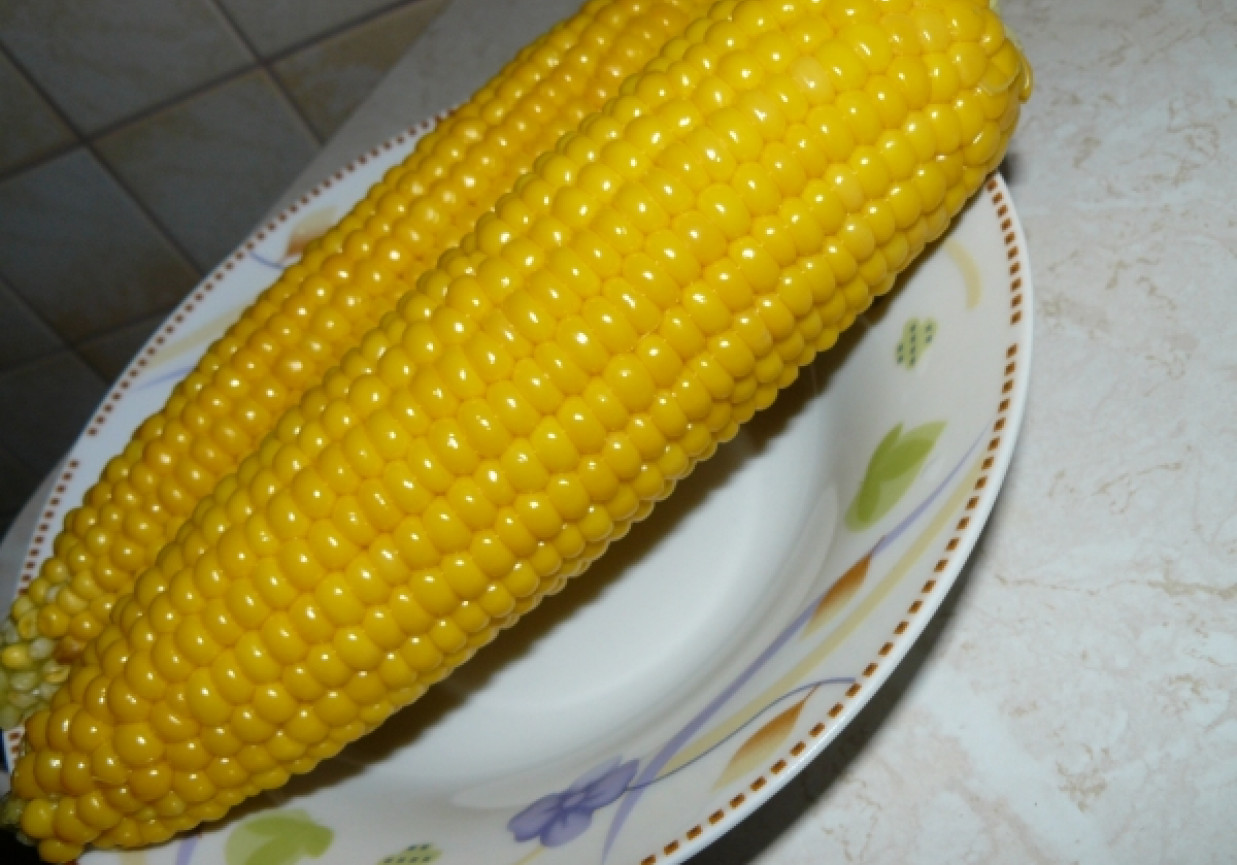 Kukurydza gotowana foto