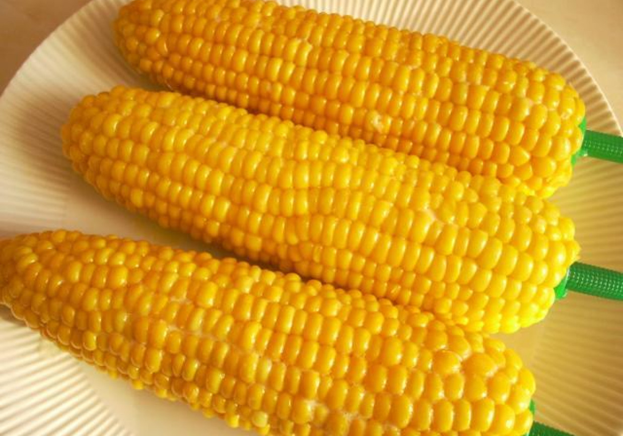Kukurydza kolby - gotowana foto