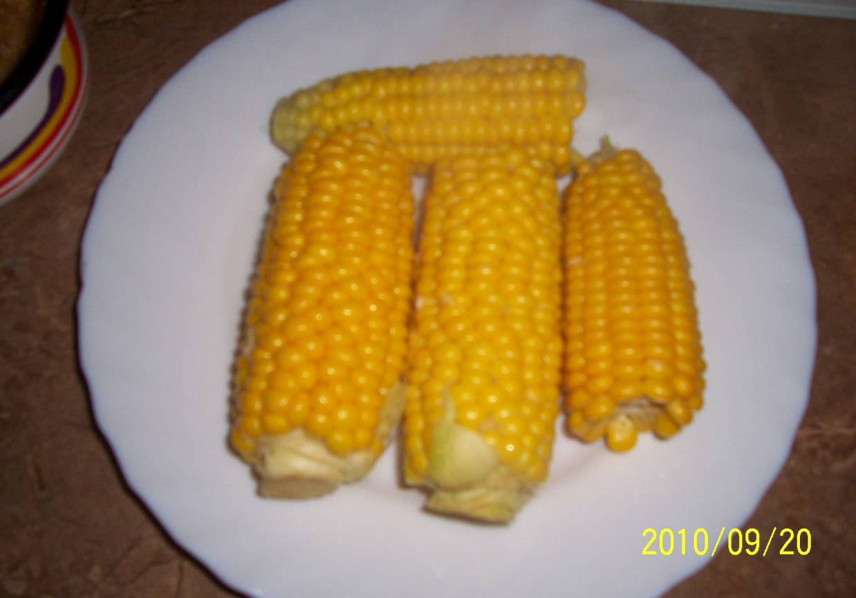 kukurydza ugotowana z masłem foto