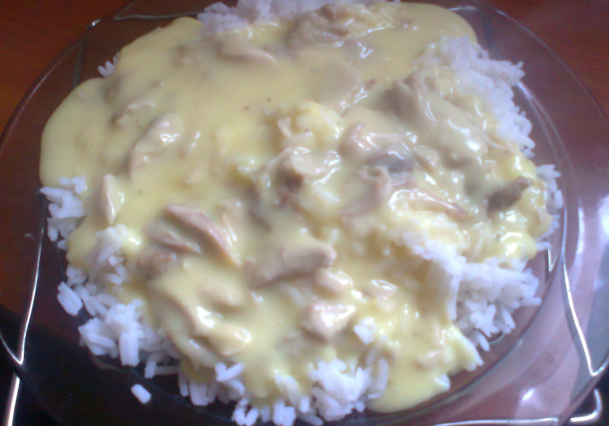 kurczak w potrawce z ryżem foto