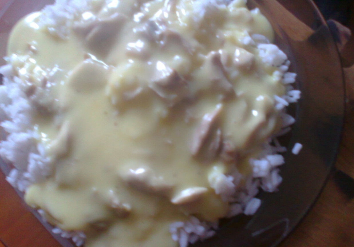 kurczak w potrawce z ryżem foto