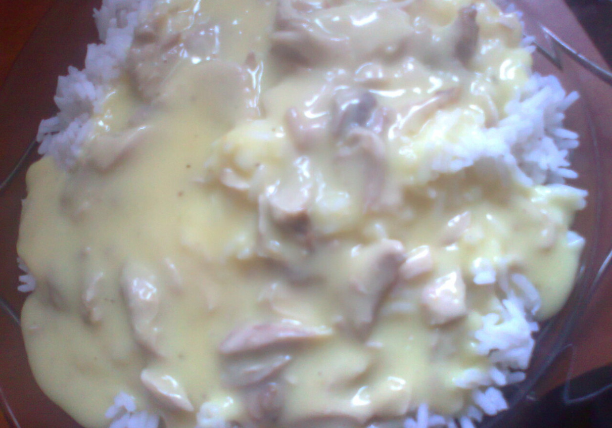 kurczak w potrawce z ryżem foto