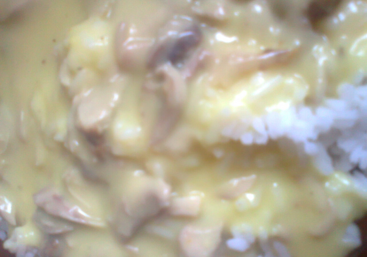 kurczak w potrawce z ryżem foto