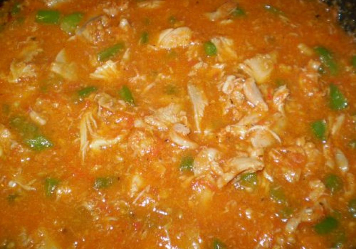 Kurczak w sosie pomidorowym z zieloną papryką foto