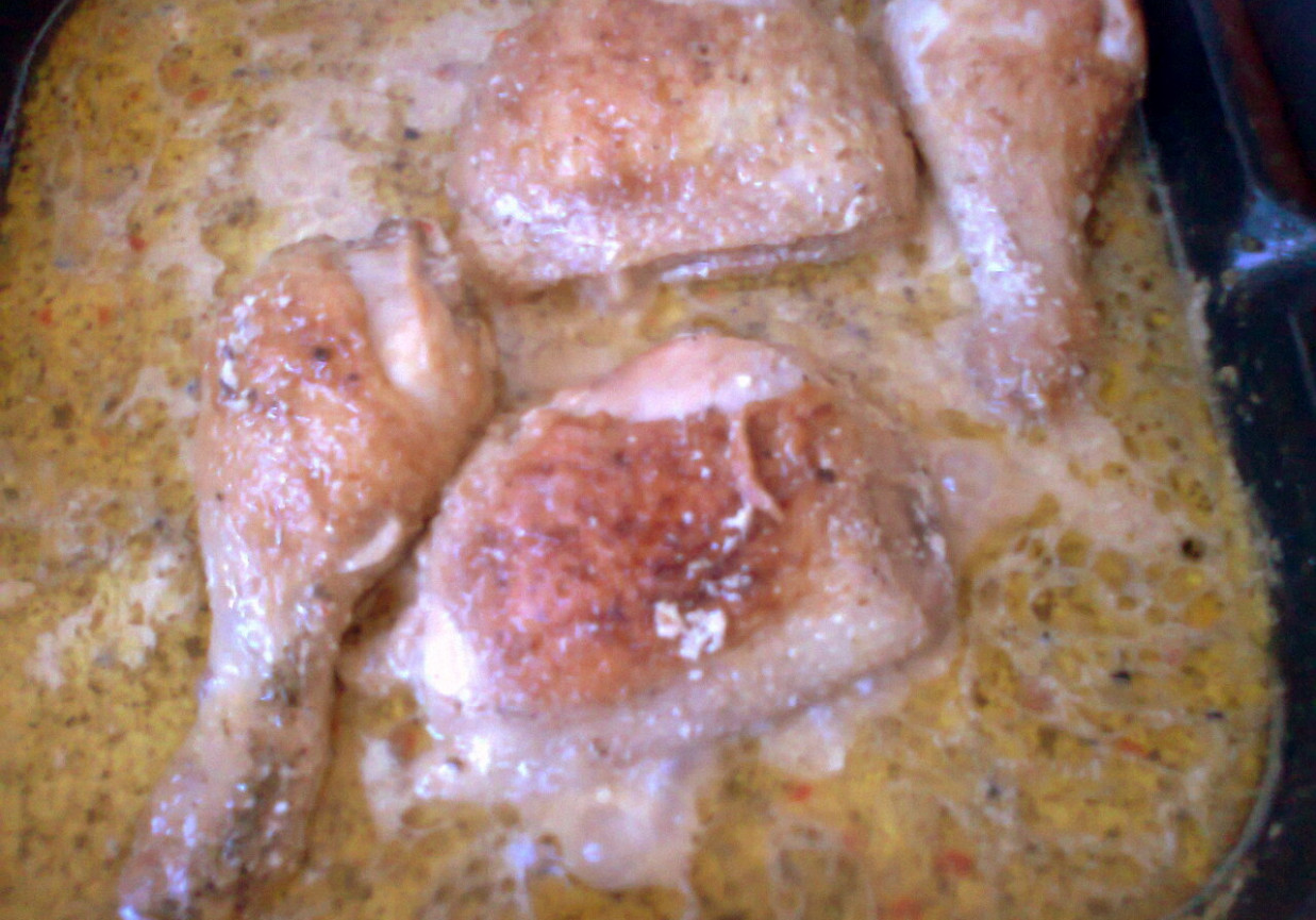 kurczak w sosie prowansalskim foto