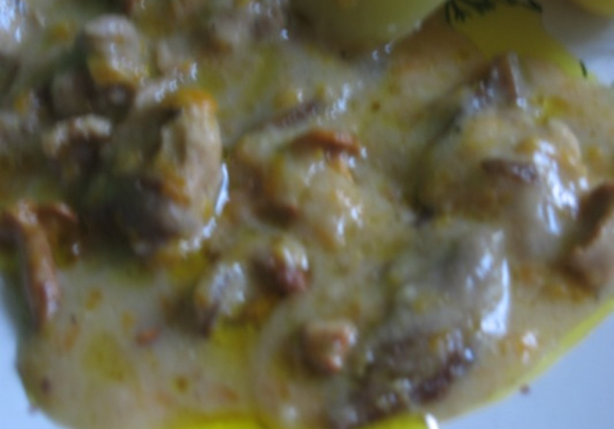Kurczak z grzybami w sosie śmietankowo-marchewkowym foto
